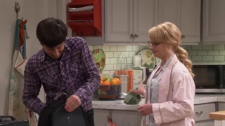 The big bang s10 e3