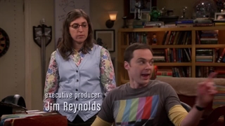 The big bang s9 e20