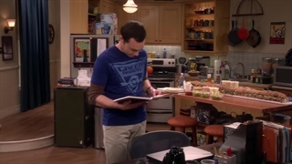 Thr big bamg s 9 e21