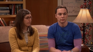 The big bang s10 e14