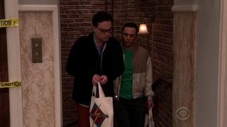 Big bang s9 e13