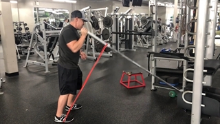 پرس بازو تک دست کشی هالتر ایستاده