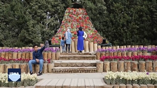 وضعیت سفر در نوروز ۱۴۰۱؛ پیش‌بینی‌ها و توصیه‌ها به مسافران