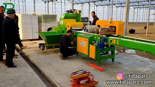 فروش بذر کار سینی نشاء به گلخانه تولید نشا در شبستر