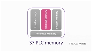 7-Working Memory