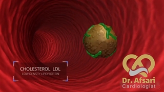 هیپرلیپیدمی چیست؟ | دکتر یاسمین افسری