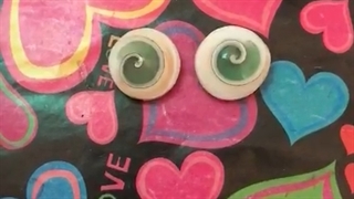 فیلم مهره مار اصلی شاه کبری (صد در صد اصل)