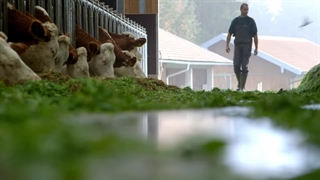 صنعت لبنیات آلمان