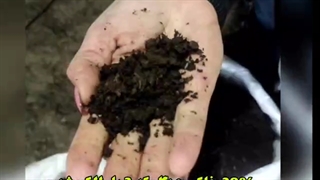 خاک و کود گلهای آپارتمانی ، ورمی کمپوست ،کاکتوس،بنفشه آفریقایی، ارکیده