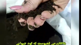 تهیه خاک و کود برای گلهای آپارتمانی مراقب از گیاه خاک مناسب