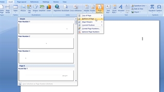 شماره گذاری صفحات (Page Number) در ورد به صورت دلخواه