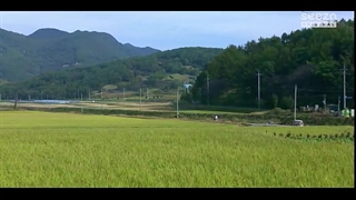 سریال قانون‌ شکنی نوجوانان قسمت ۶