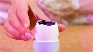 ۴۸ روش ساده برای پرورش گیاهان