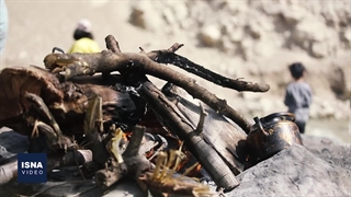 «سیزده‌به‌در» در لواسان