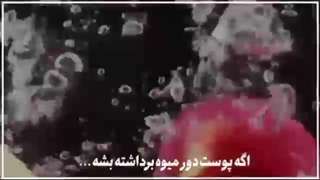 چرا حجاب داشته باشیم؟