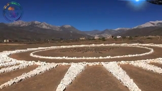 چیزی که دانشمندان در آمریکای جنوبی کشف کردند همه رو شگفت زده کرده