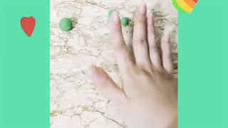 کاکتوس زیبا