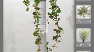 گل آویز شمعدانی مینیاتور سفید