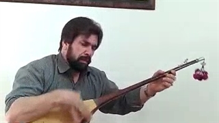 غوغای احساس و پنجه  در جولان ( استاد جمشید بخشی ولی نژاد )