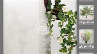 حلقه آویزی اطلسی سفید