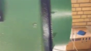 تولید و‌فروش سانتریفیوژ فشار قوی  کارخانه فولاد در بندرعباس09121865671