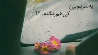گلی‌بی تو...