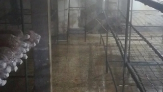 رطوبت ساز پروانه ای09190951834