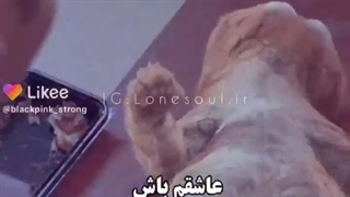 مود همه نیست ایا؟:)