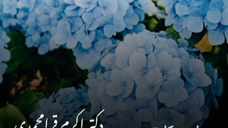 جراحی کلیتوریس