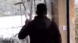 پنجره دوجداره هافمن