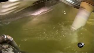 دستکش لاتکس رنگی(معایب و مزایا