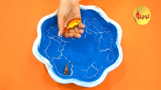 آمد بهار جانها...سال 1401 با تورینوپلاس