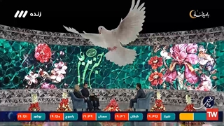 ضامن آهو جرمگیری