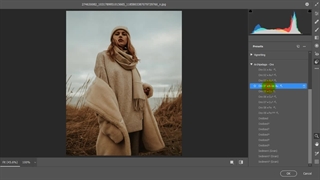 خرید پریست لایت روم