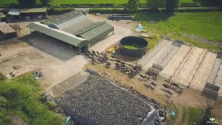 مزرعه پرورش گاو