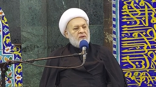 أثر المتخاذلون والمتواکلون والمنافقون فی تکریس الظلم الأموی والإطاحة بالعدالة العلویة