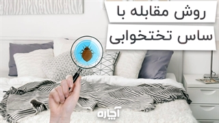 از بین بردن ساس تختخوابی | آچاره