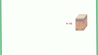 پوست چیست و چگونه از آن محافظت کنیم ؟