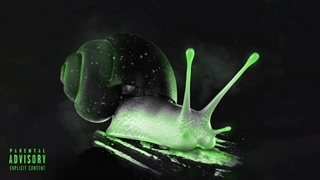 Koroosh , Arta & Leito & CatchyBeatz