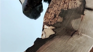 آینه روستیک