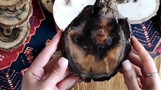 روغن زدن زیر لیوانی های گردو