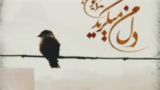 دانلود تیزر تصویری آهنگ همایون شجریان به نام دل من میگرید