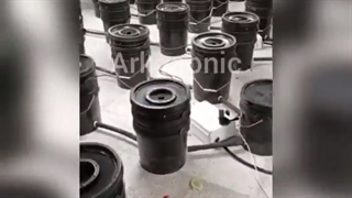 پروژه سیستم صدگلدانه هیدروپونیک