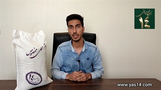 برنج طارم محلی مخصوص