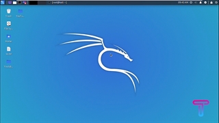 تست نفوذ اینستاگرام