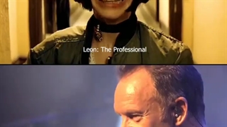 میکس از فیلم زیبای لئون حرفه ای  ( Leon : the professional)