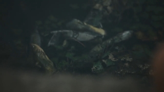 قسمت 2 سریال هیولا + Monstrous 2022 با زیرنویس فارسی