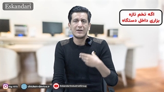 چطور از خفه شدن جوجه داخل تخم جلوگیری کنیم ؟