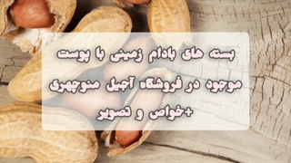 خرید بادام زمینی آستانه از آجیل منوچهری / 09926647903