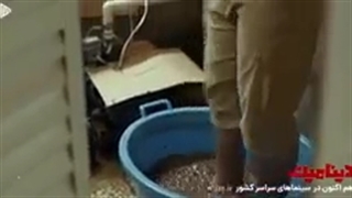 دانلود رایگان سینمایی دینامیت کاملاً رایگان و بدون سانسور لینک در توضیحات